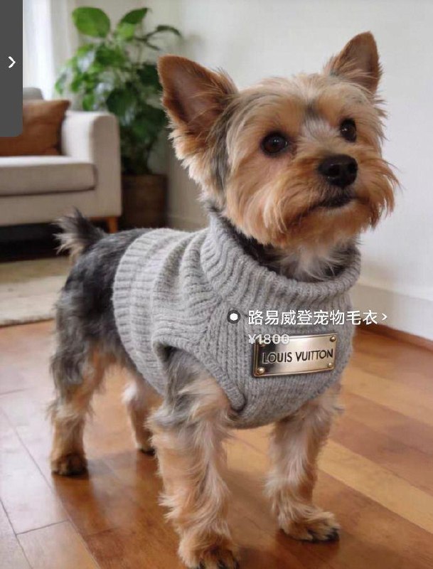 咸鱼搜：春日好礼 闲鱼搜：大赚一笔 偶尔反馈大包 都能反复中8.8 每天试试 照片下拉找别人的用 ​